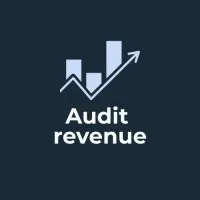Audit revenue