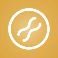 PaymentGenes Recruitment